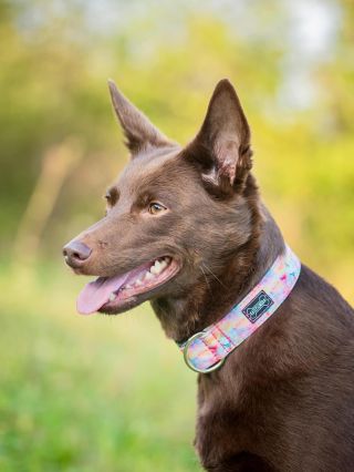 Kolekce spirálky 😍👌🏻