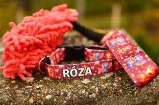 Dráčci a obojek se jménem. ❤️