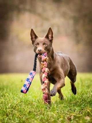 Hračky od nás jako boží dáreček ?😍 Rychlé zpracování a doručení. ❤️ Lze z jakékoliv kolekce !😍